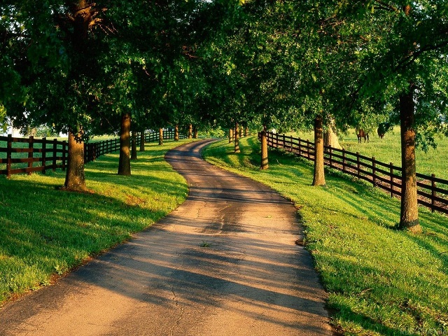 机器学习系统的在线ddos网页端